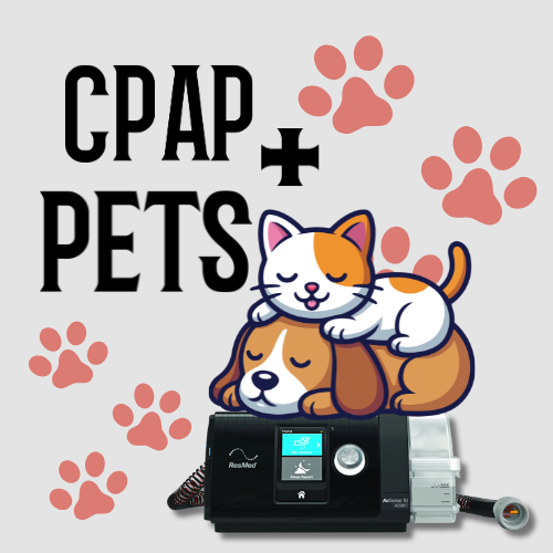 Sleeping With Pets While Using CPAP | CPAP Ninja